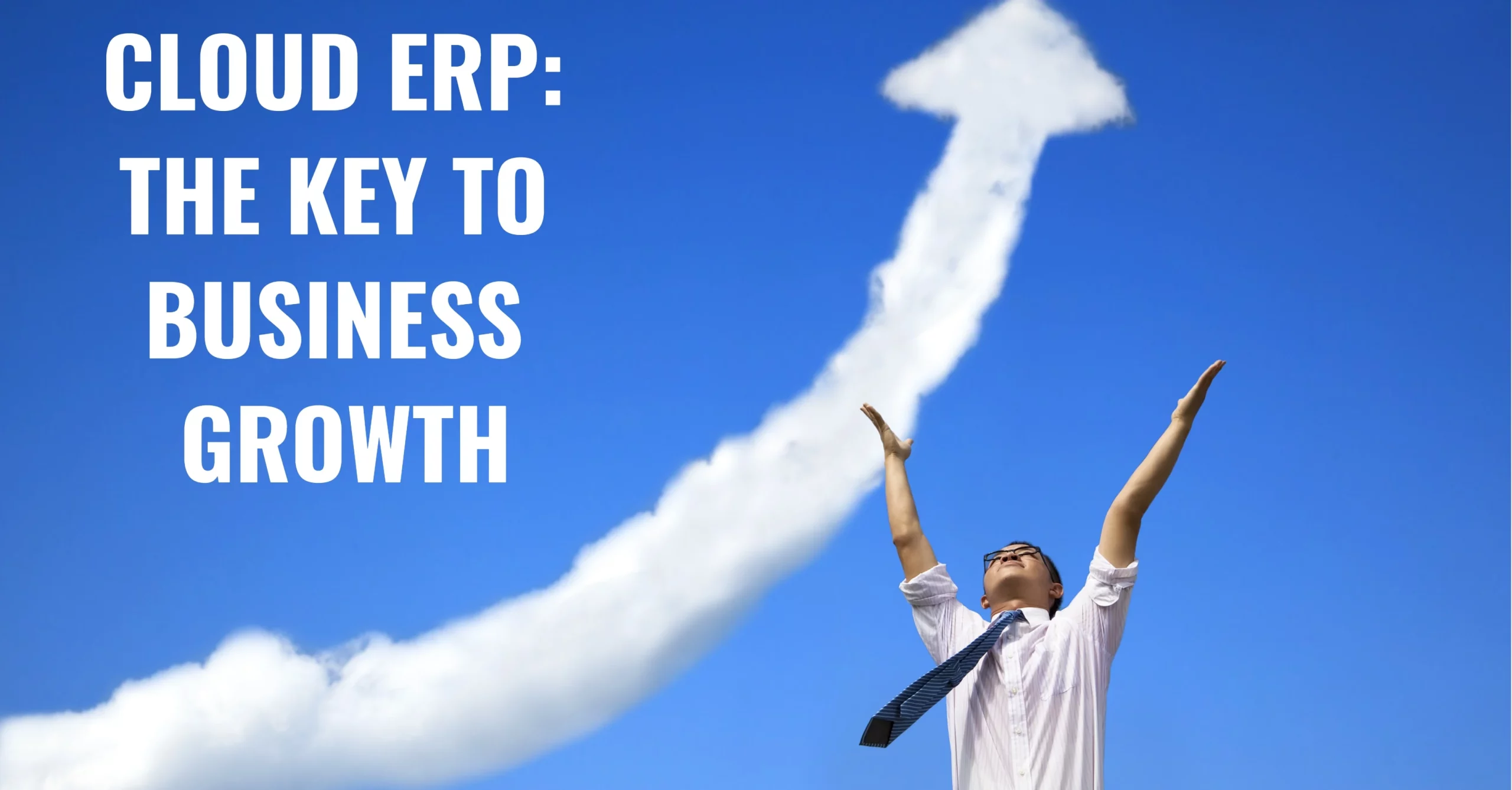 Cloud and Web-based ERP Systems